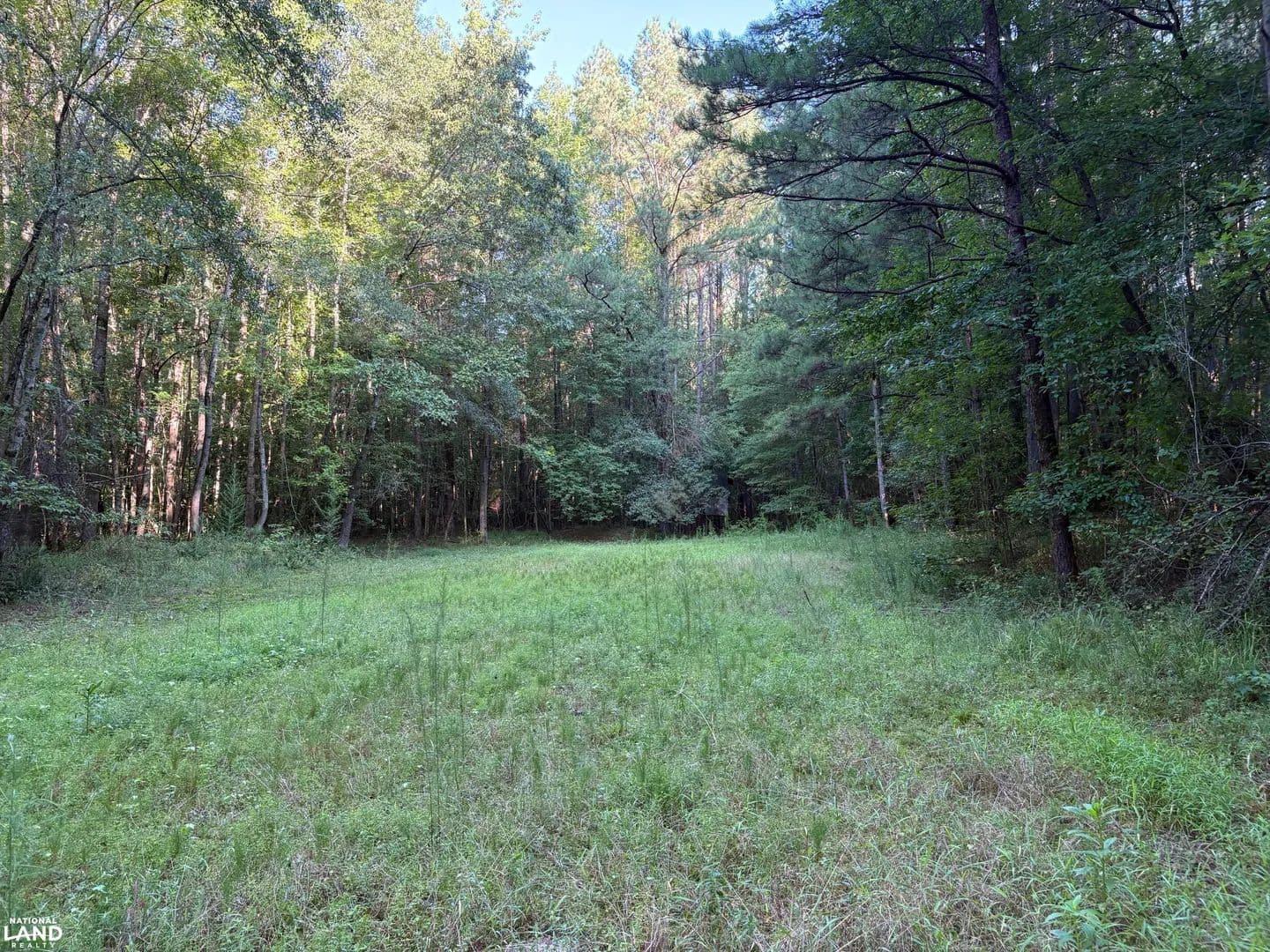 Mormon Road Recreational Tract - Northport, Alabama, 35475