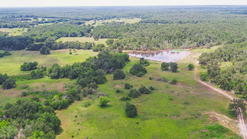 70 Acres in Milam County