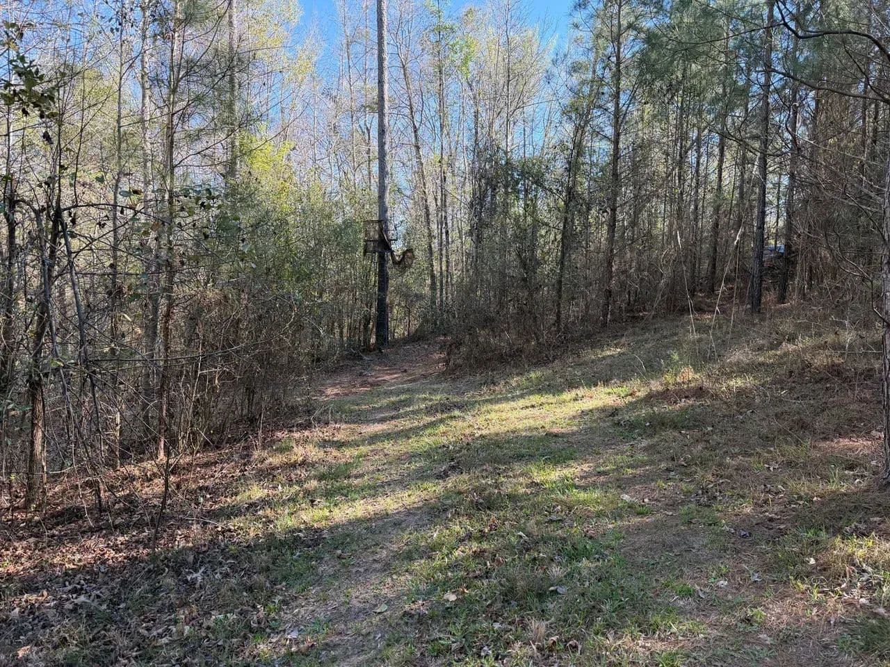 Watkins Pond Road Tract 2 - Waynesboro, Georgia, 30830