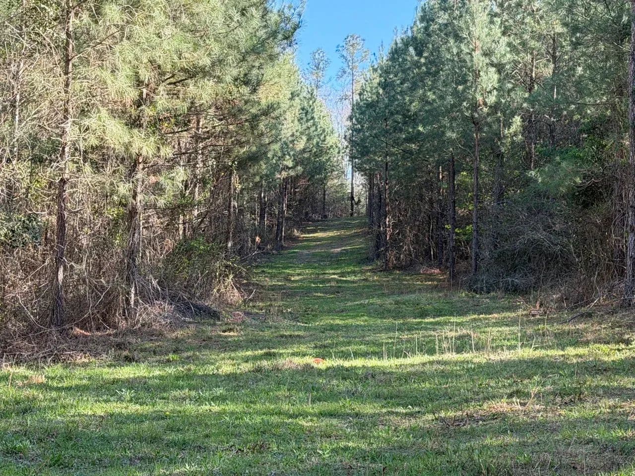 Watkins Pond Road Tract 2 - Waynesboro, Georgia, 30830