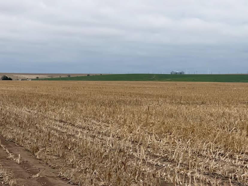 Premier Thomas County, KS Cropland #2017K