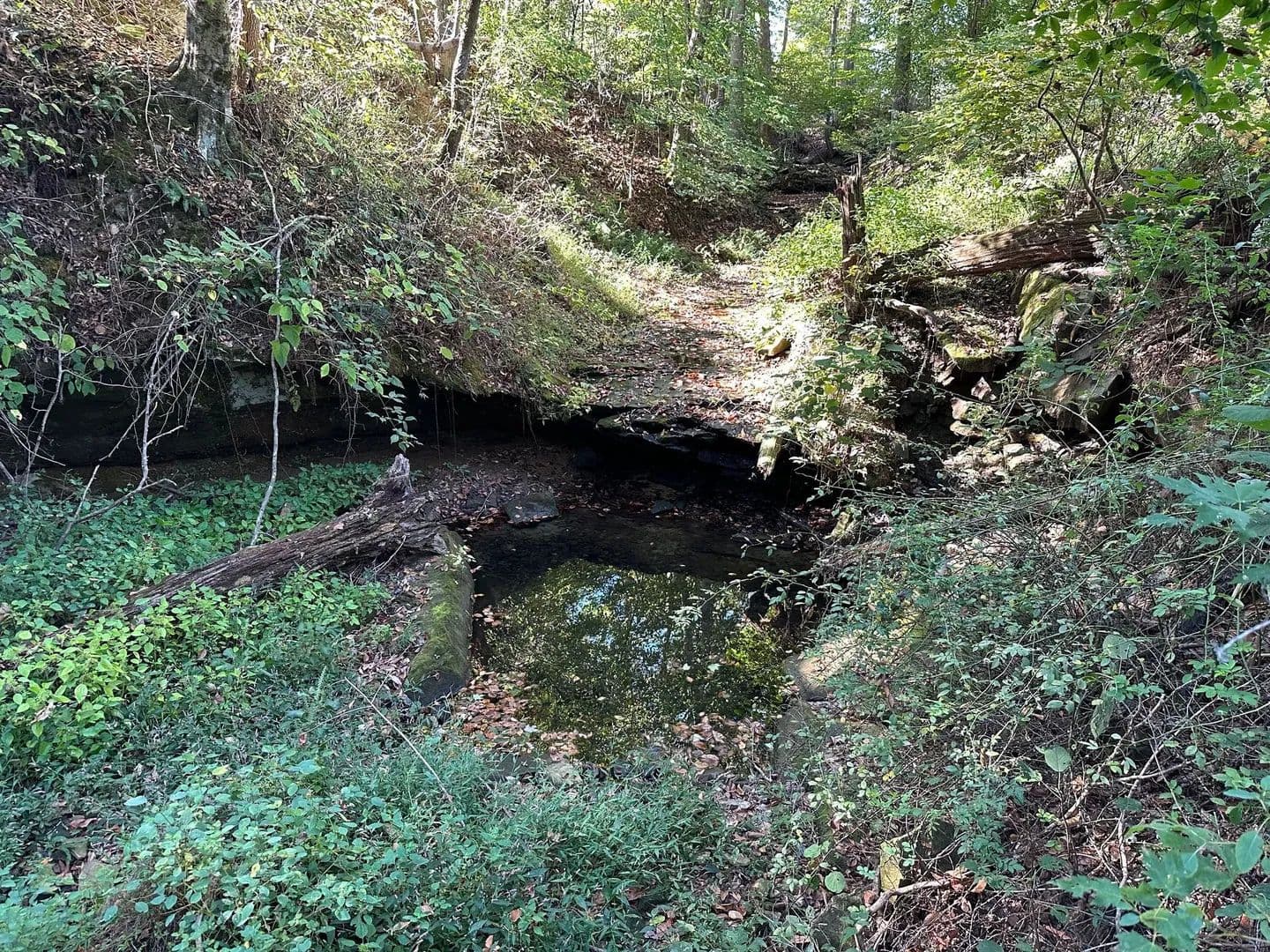 76± Acre Income-Producing Farmland - Leitchfield, Kentucky, 42754