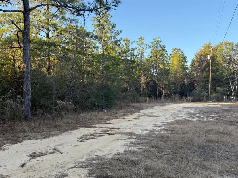 Vacant Land in DeFuniak Springs