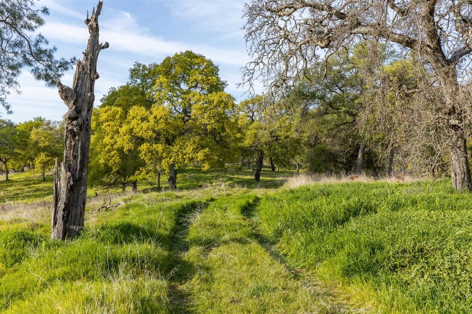 Vacant Land in Lincoln - Lincoln, California, 95648