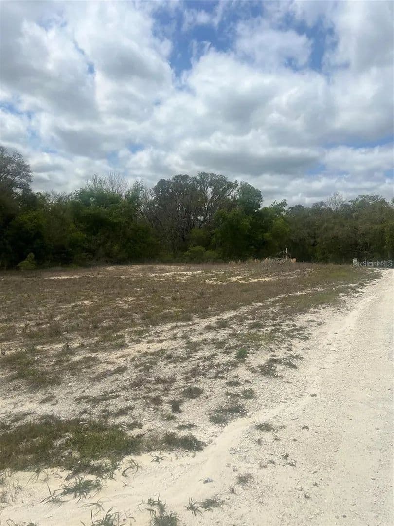 Vacant Land (0-10 Acres) in Webster - Webster, Florida, 33597
