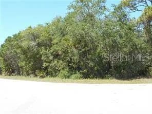 Vacant Land in North Port - land for sale