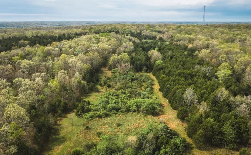 Cleavesville Road Farm Auction Tract 3