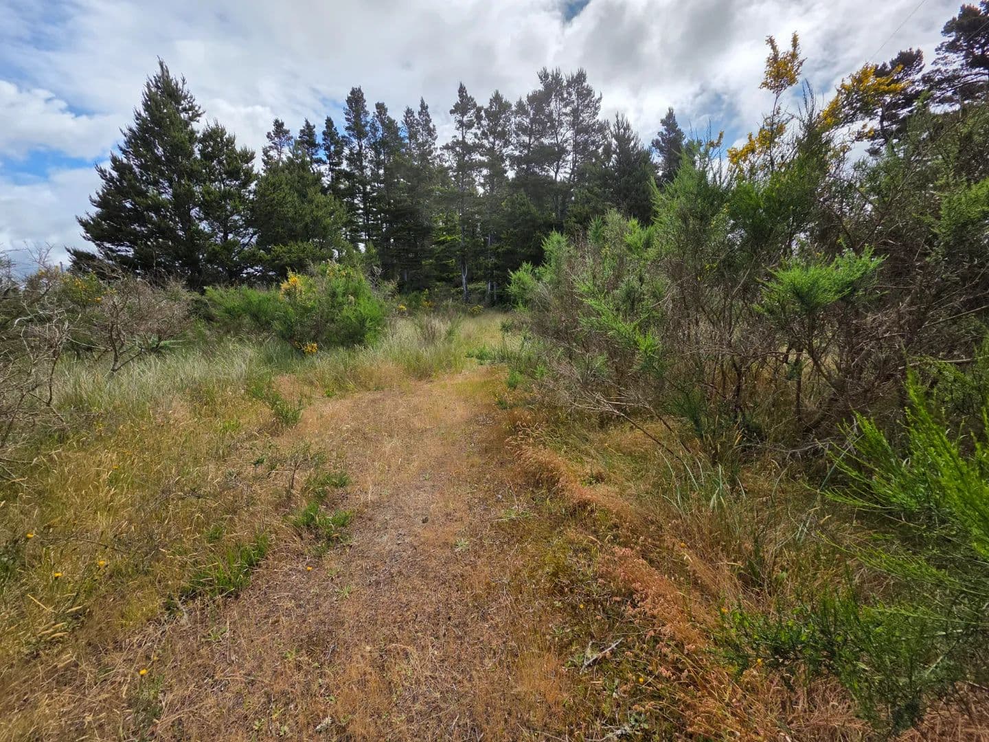 3.45 Acres - Commerical/Tourist Zone - Florence, OR - Florence, Oregon, 97439