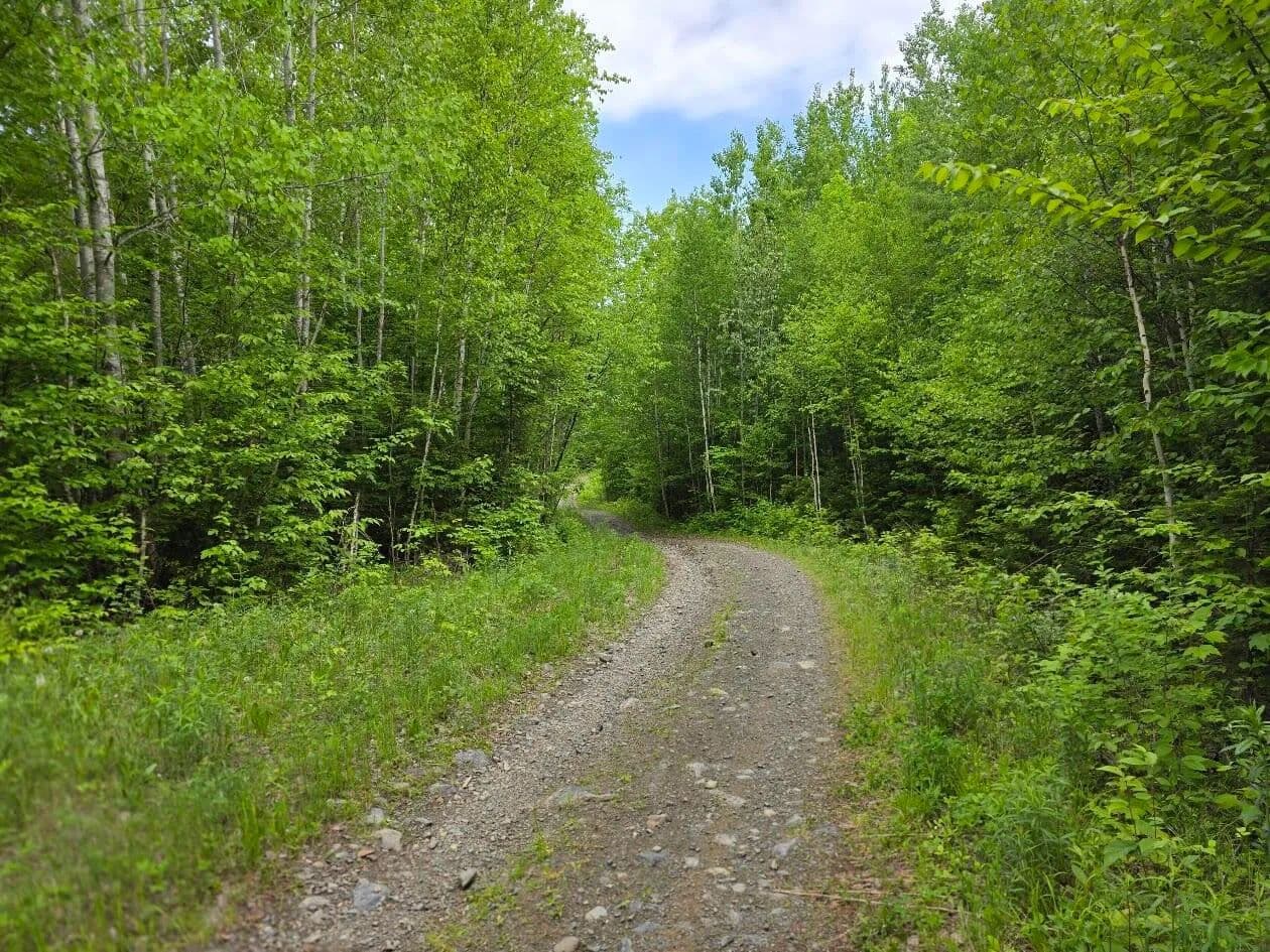 30 Acres of Land for Sale in Island Falls, Maine - Island Falls, Maine, 04747