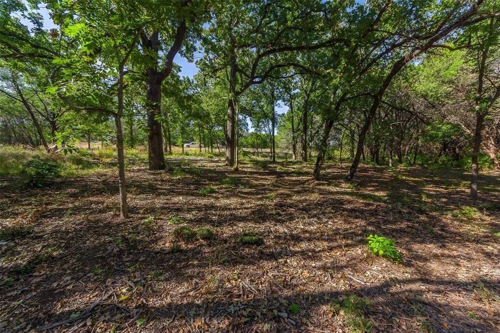 Vacant Land in Nemo - Nemo, Texas, 76070