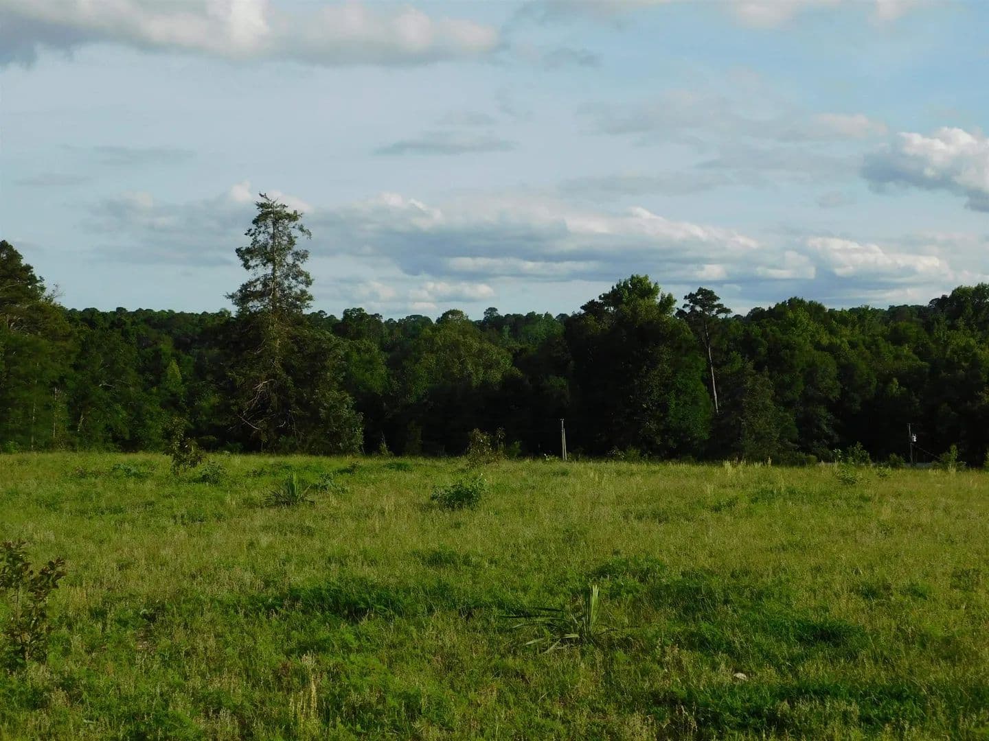 Vacant Land in Big Sandy - Big Sandy, Texas, 75647