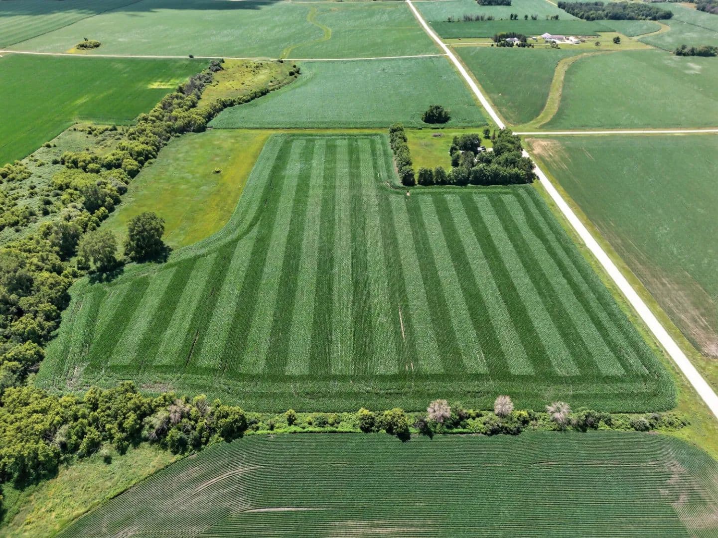 Tillable Acreage For Sale in Southeastern Minnesota - Minnesota, 55940