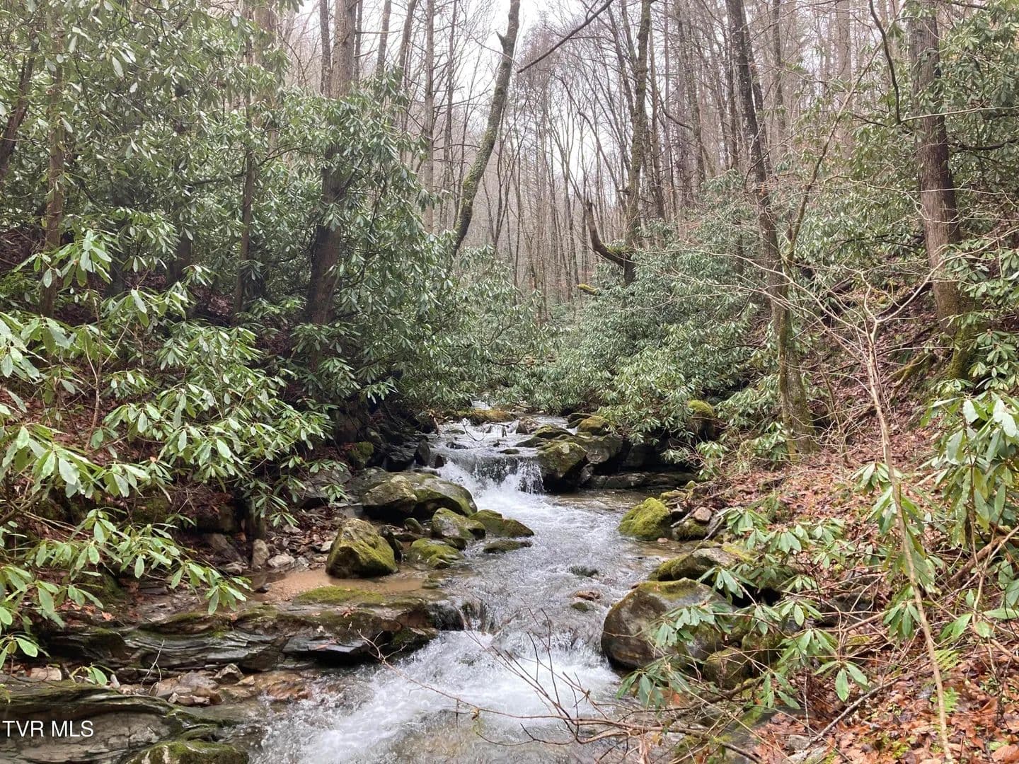 46.34 Acres of Land for Sale in Butler, Tennessee - Butler, Tennessee, 37640