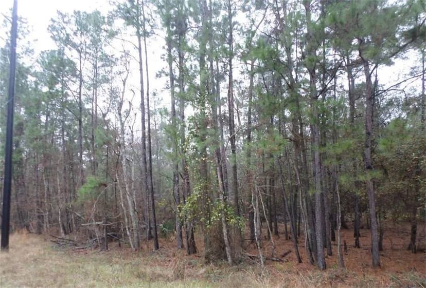 Property from 10102 Woodlane - KW