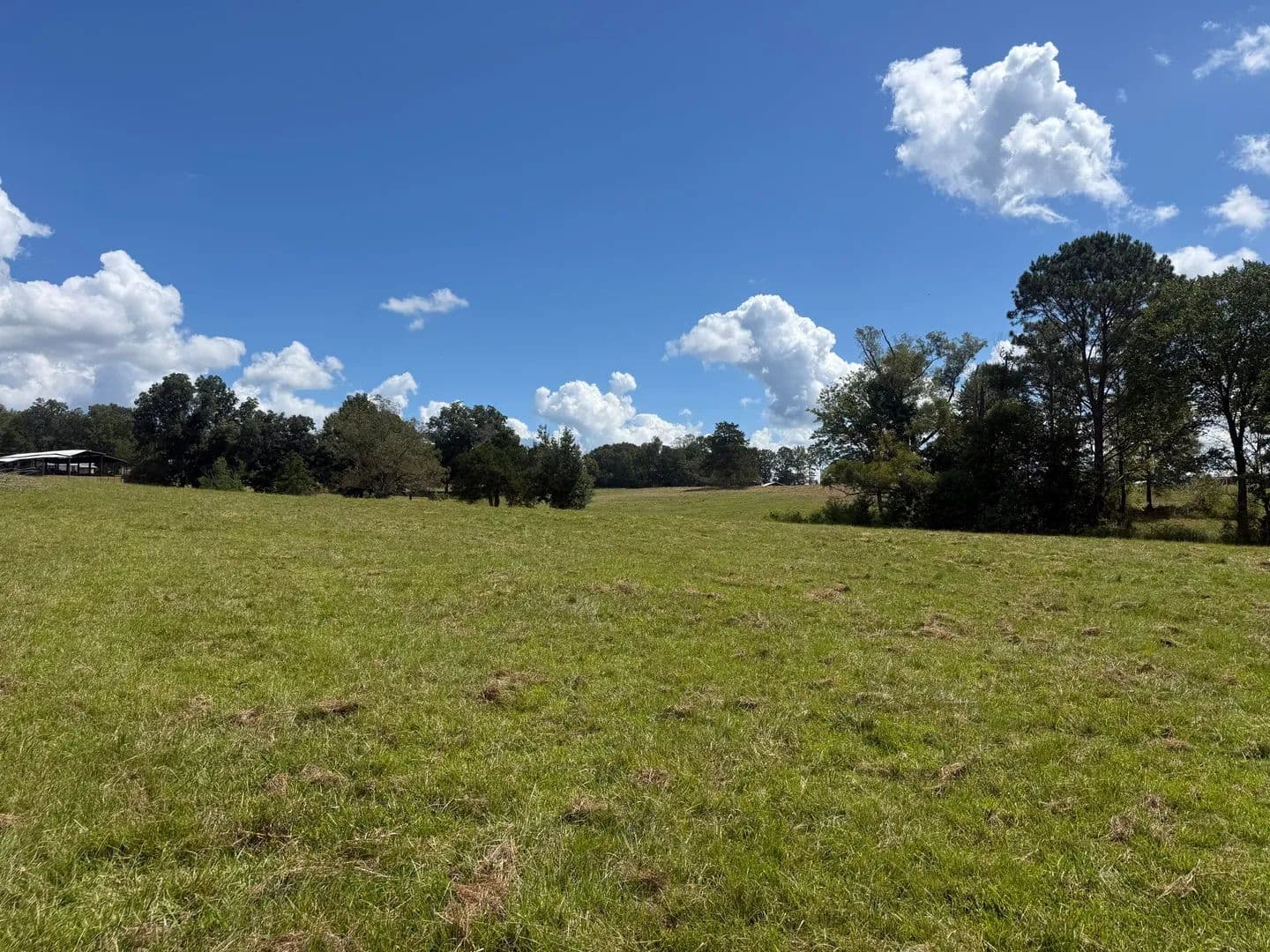 The Bradley Place - Equality, Alabama, 36026