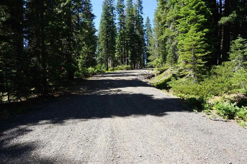 Vacant Land in Bucks Lake - Bucks Lake, California, 95956