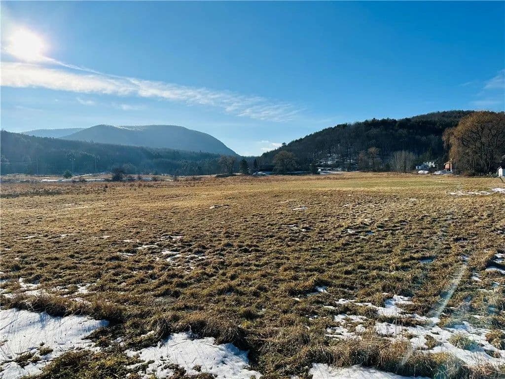 Land -Single Family Acreage in Roxbury - Roxbury, New York, 12434