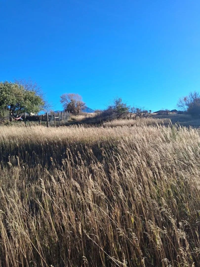 TBD E Garland St, LaVeta, CO 81055