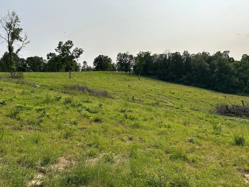 Vacant Land in Everton