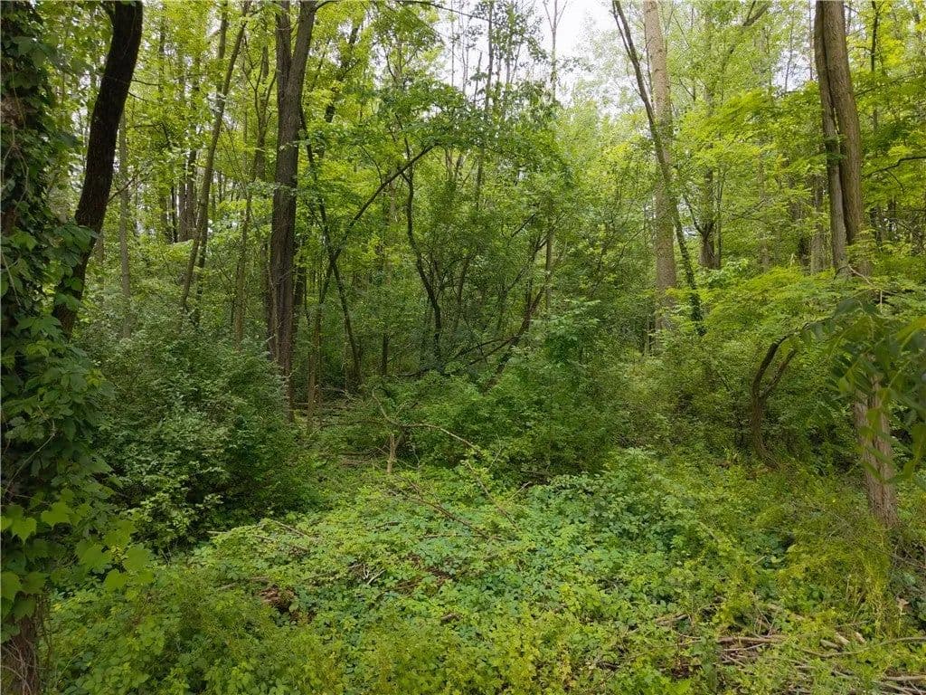 Lots & Land-Other in Seneca Falls - Seneca Falls, New York, 13148