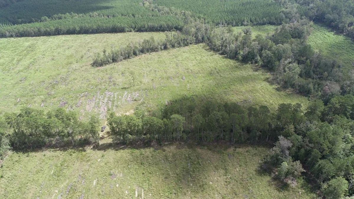 Farrsville Tract 3 - Jasper, Texas, 75951
