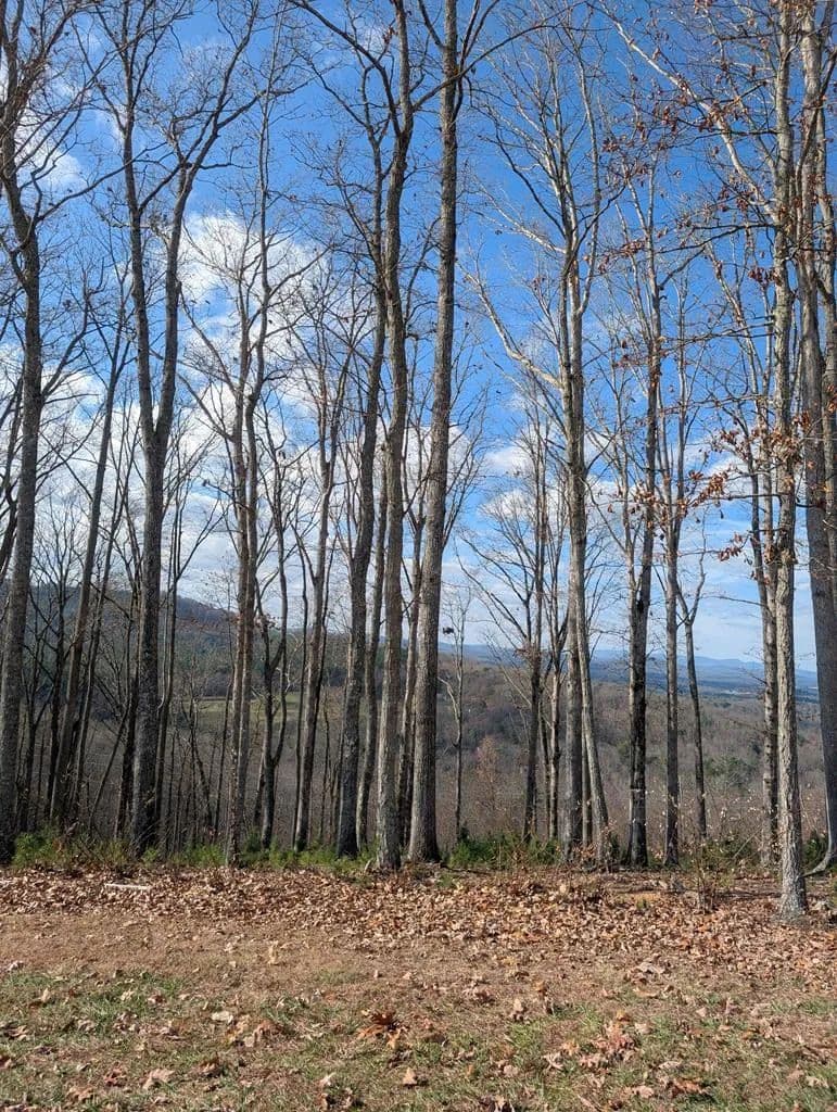 Lots & Land-Other in Blairsville