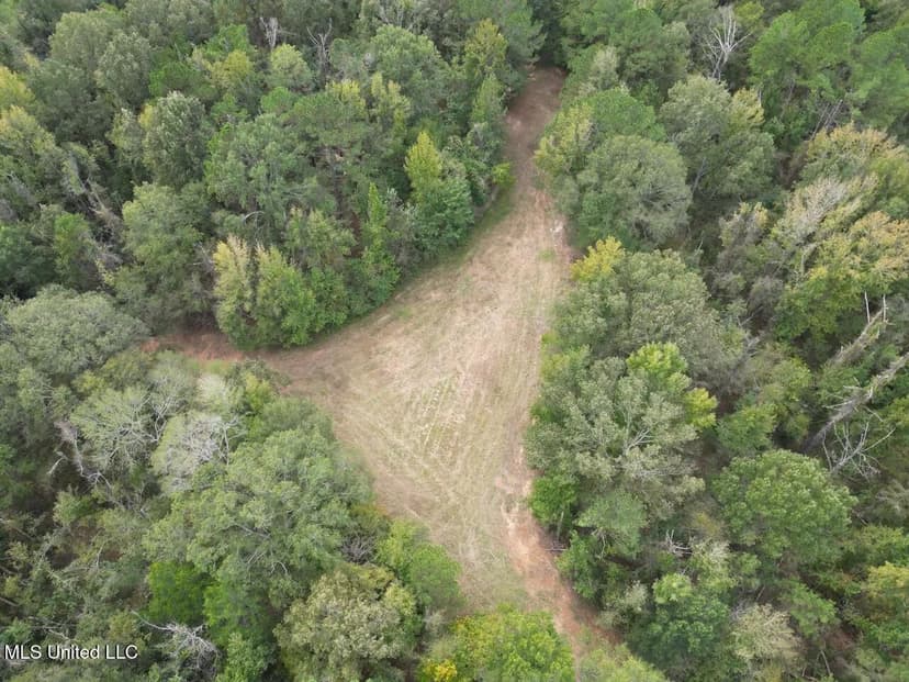 Hunting Land in Claiborne County, MS - The Sawmill 98