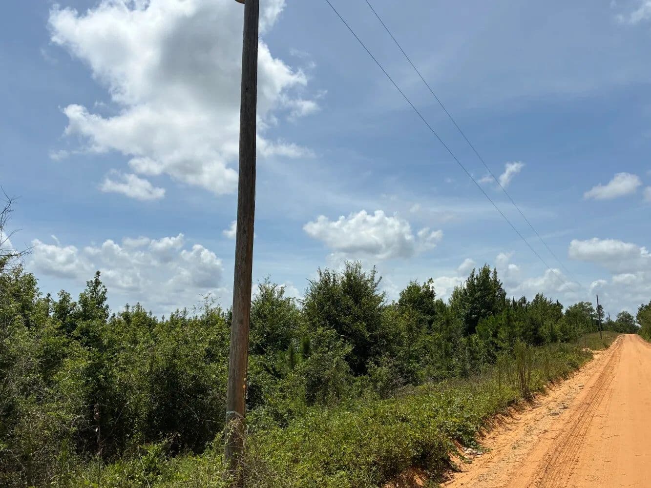 West Laurens County Lots - 5 Acre - Rentz, Georgia, 31075