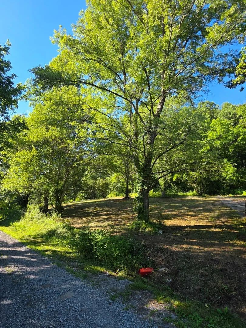 Vacant Land in Bradyville - Bradyville, Tennessee, 37026