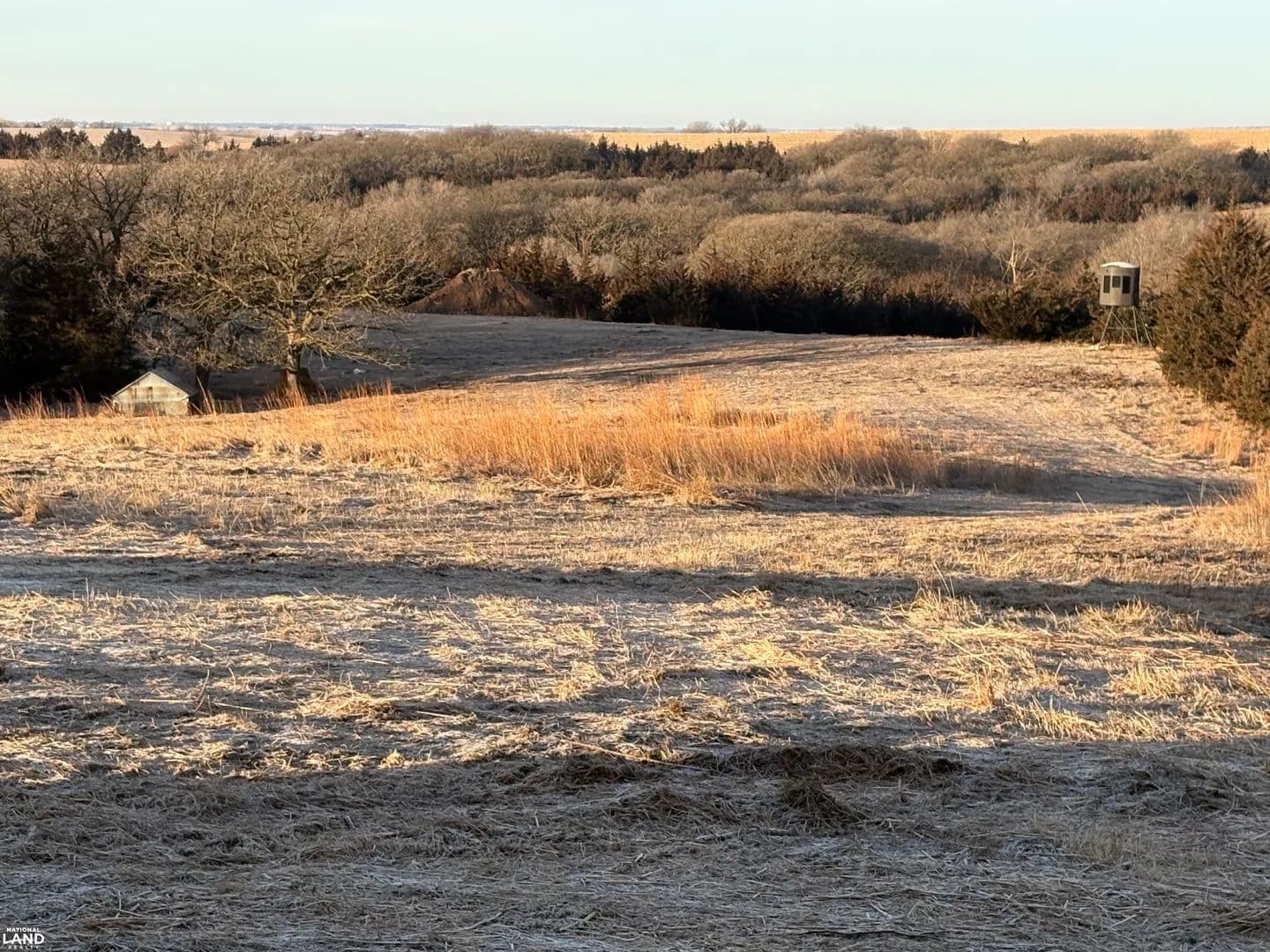 Oak Ridge Farm - Schuyler, Nebraska, 68661