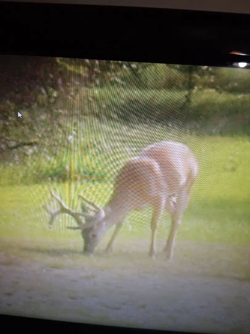 A Home on 138 Acres in Grenada County, MS