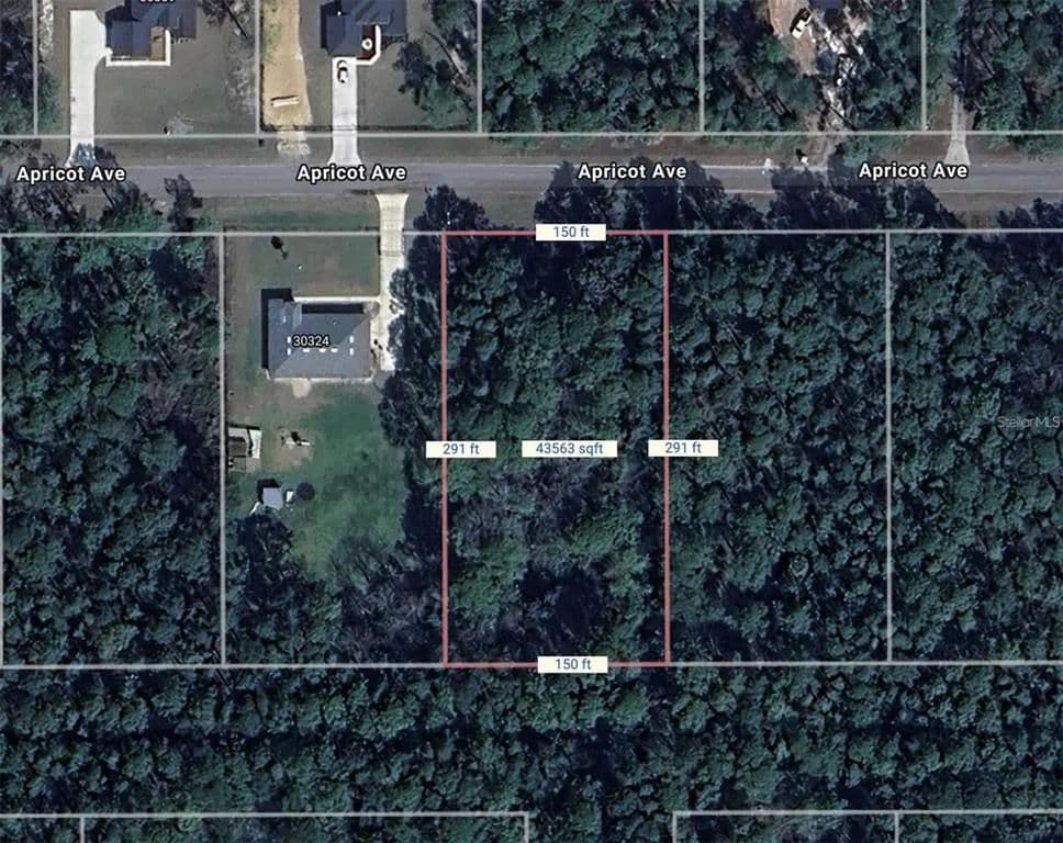 Vacant Land in Eustis - Eustis, Florida, 32736