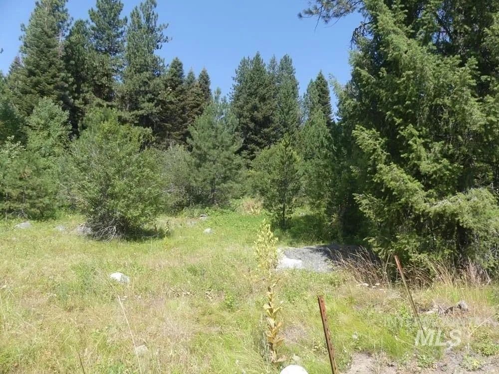 Lots & Land-Other in McCall - Mccall, Idaho, 83638