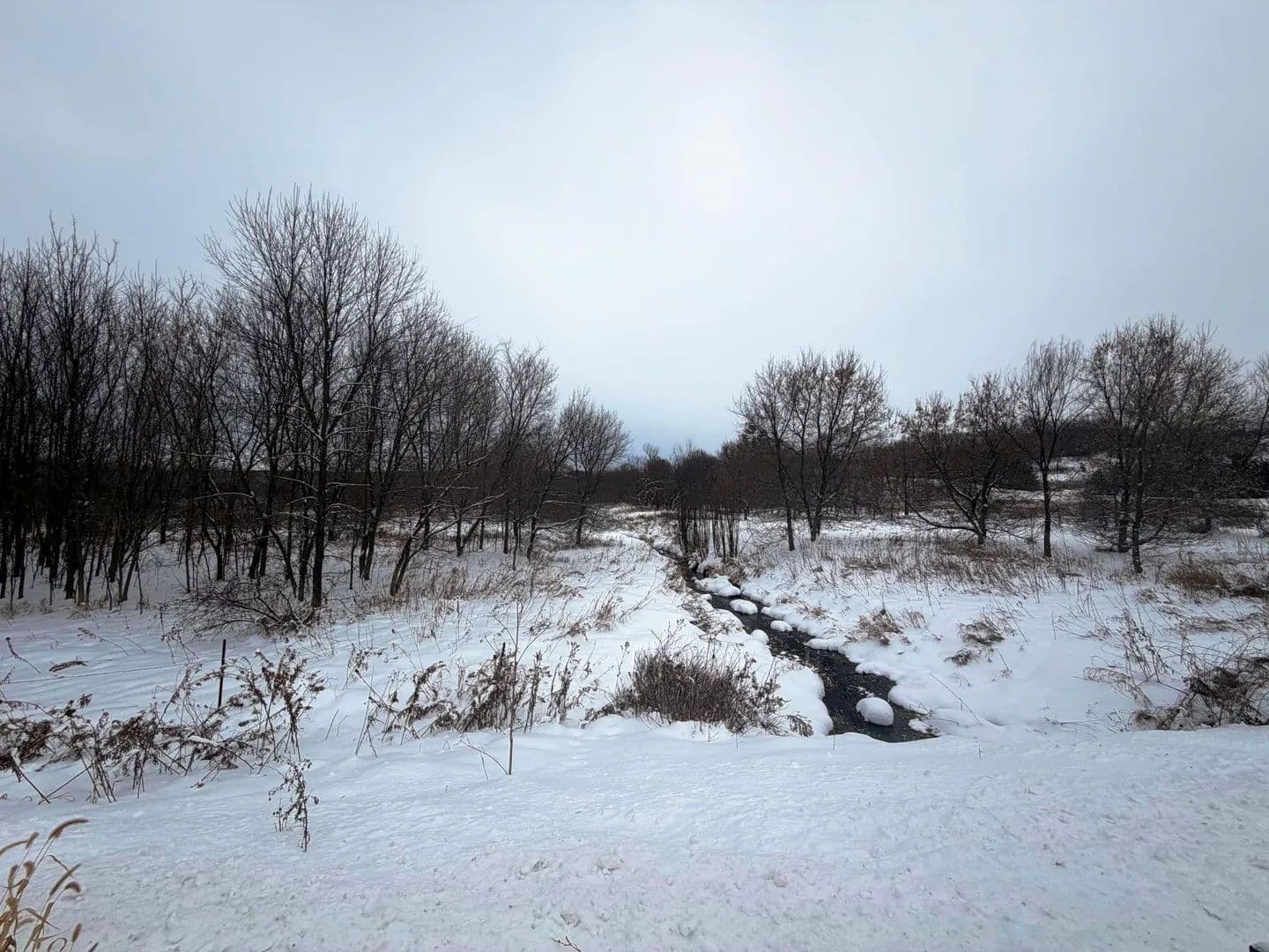 Vacant Land in Glenwood City - Glenwood City, Wisconsin, 54013