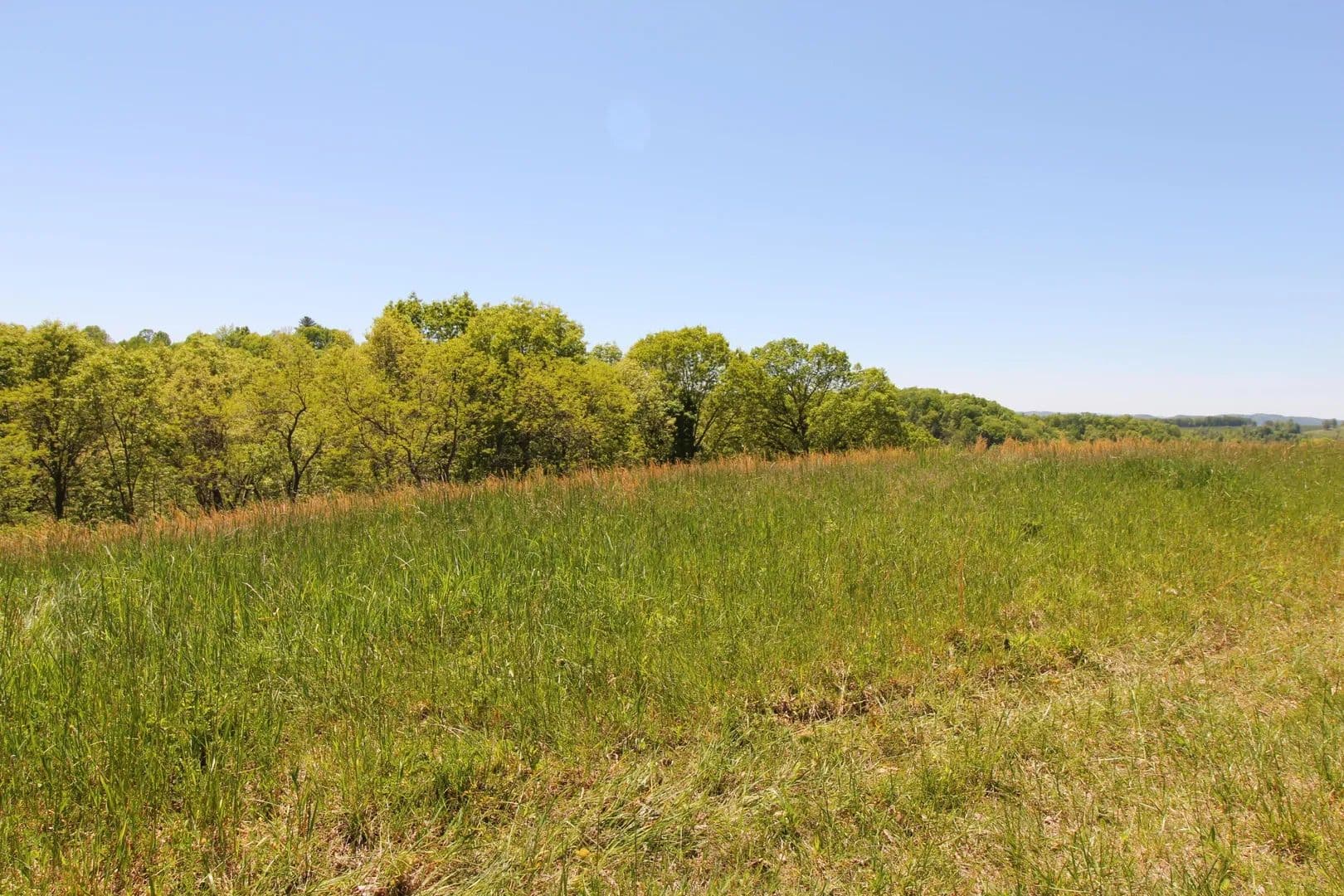Lots & Land-Other in Wayside - Wayside, West Virginia, 24985
