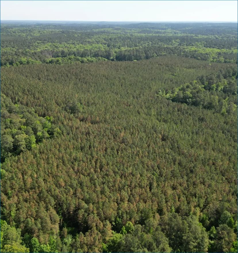 80 Acres in Choctaw County in Ackerman, MS