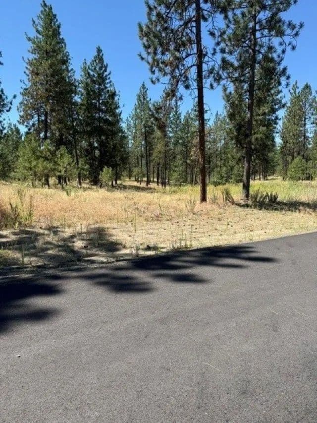 Vacant Land in Nine Mile Falls - Nine Mile Falls, Washington, 99026