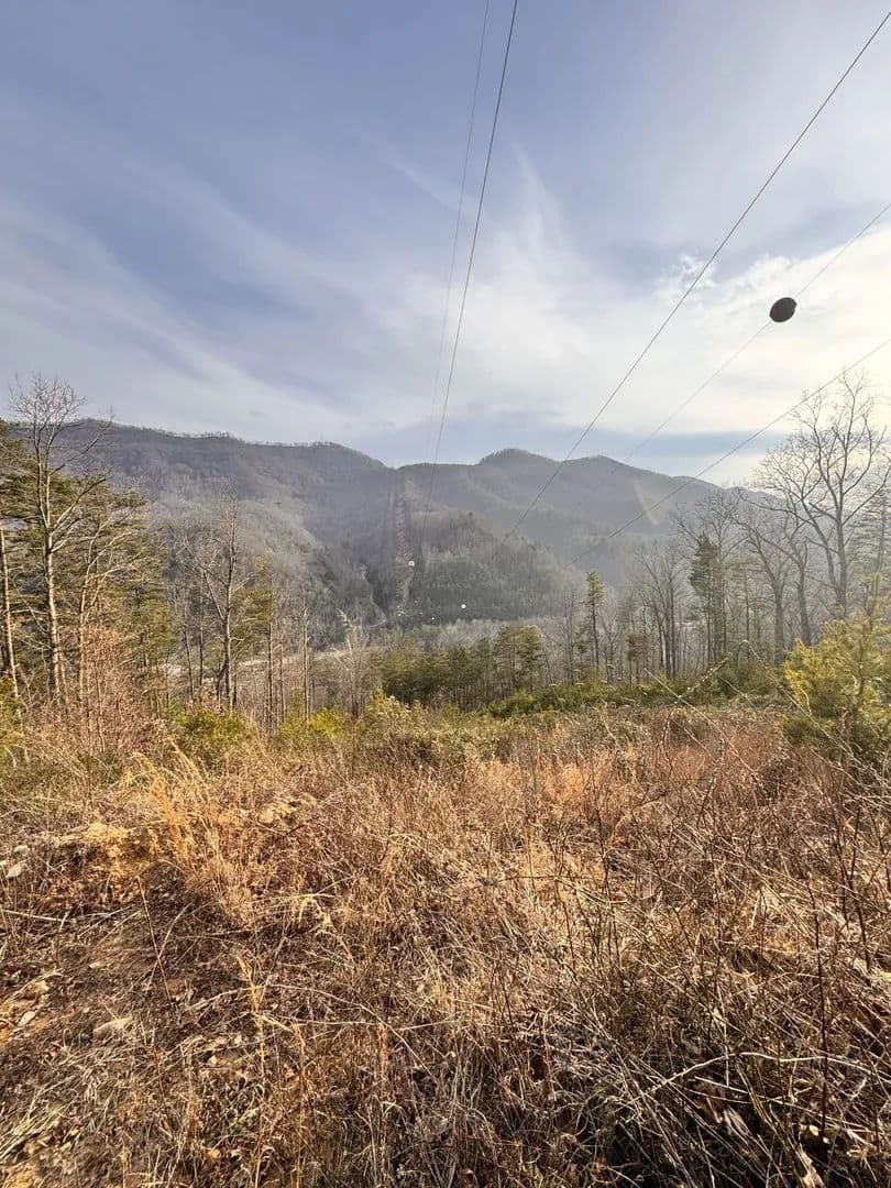 138.40 +/- Acres in Kentucky's Elk Management Zone | Secluded Mountain Hunting & Recreational Land | Harlan County