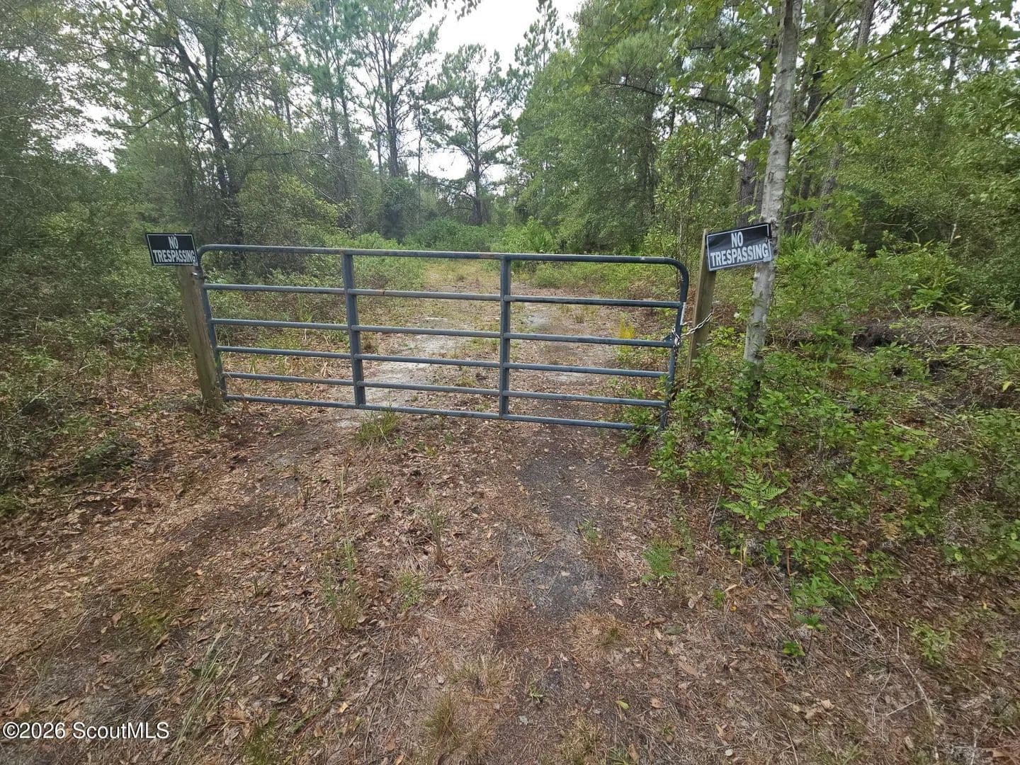 Lots & Land-Other in Waverly - Waverly, Georgia, 31565