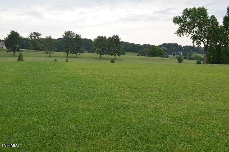 Vacant Land in Greeneville - Greeneville, Tennessee, 37743