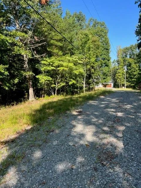 Lots & Land-Other in Ellijay - Ellijay, Georgia, 30540