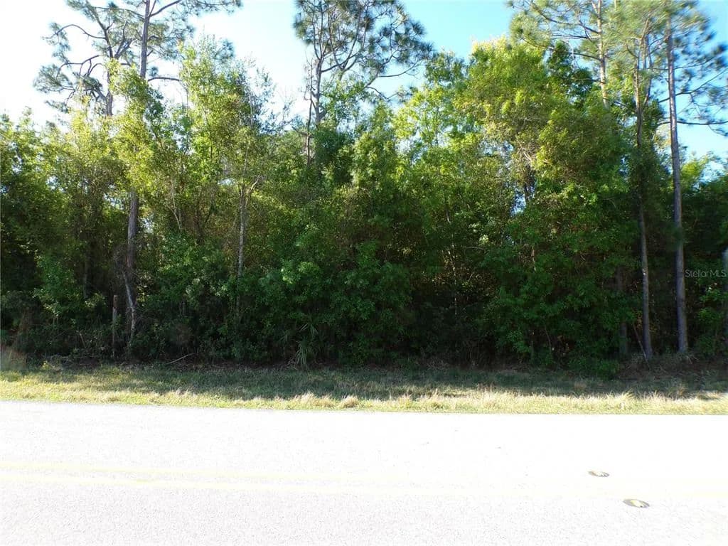 Vacant Land in Punta Gorda - Punta Gorda, Florida, 33983