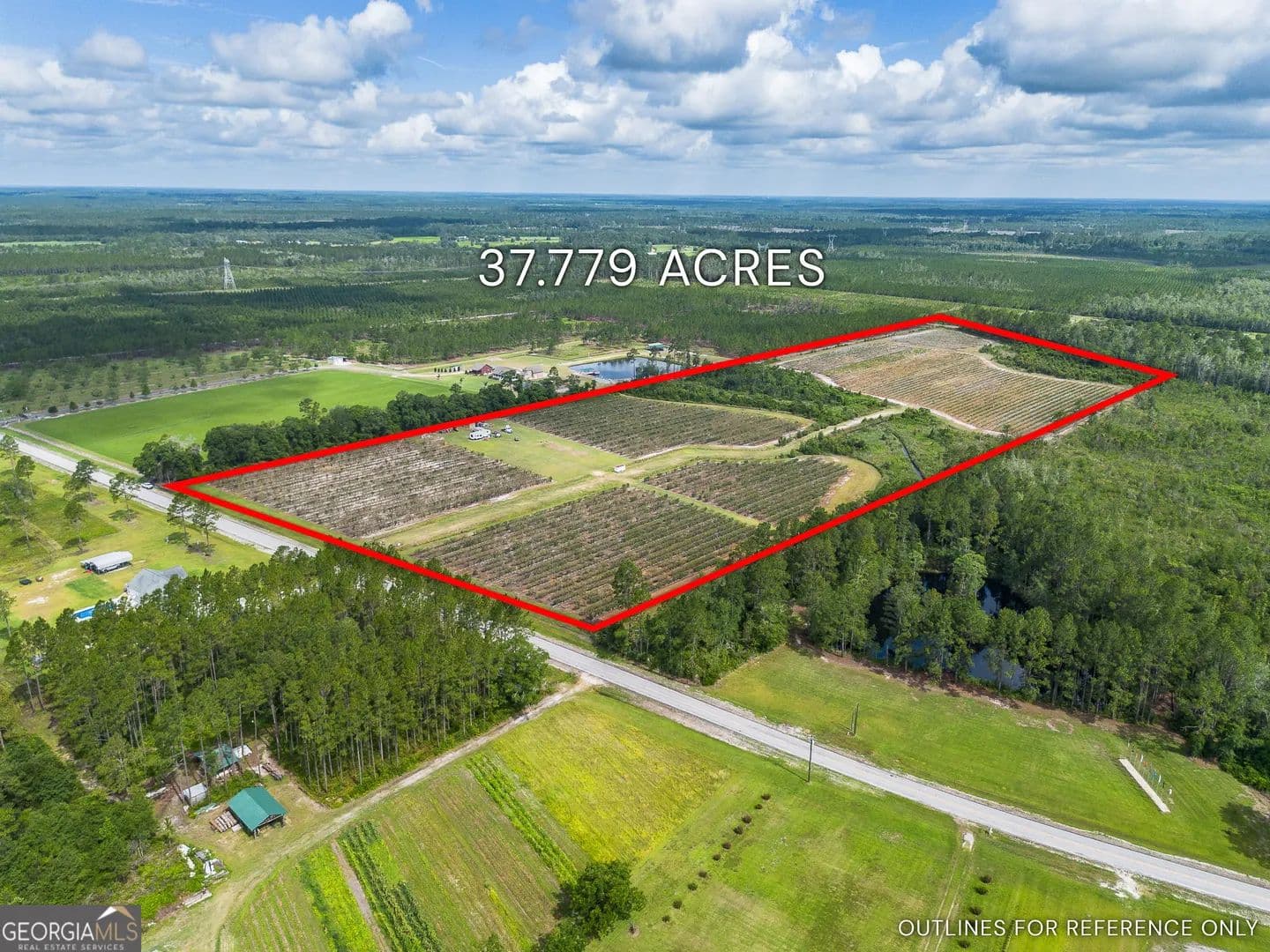 37.78 Acres of Land for Sale in Patterson, GA - Patterson, Georgia, 31557