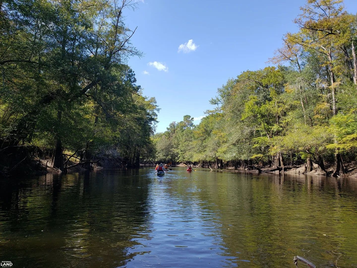Thorntree Preserve - Black River - Salters, South Carolina, 29590