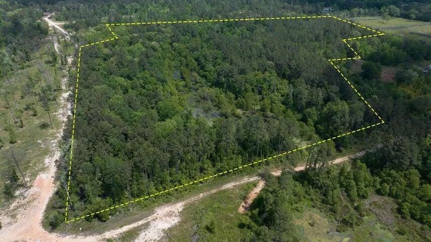 Vacant Land (10+ Acres) in Merryville - Merryville, Louisiana, 70653