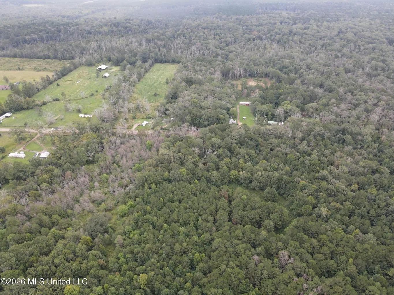 17 Acres for Sale in Forest, Scott County, MS - Forest, Mississippi, 39074
