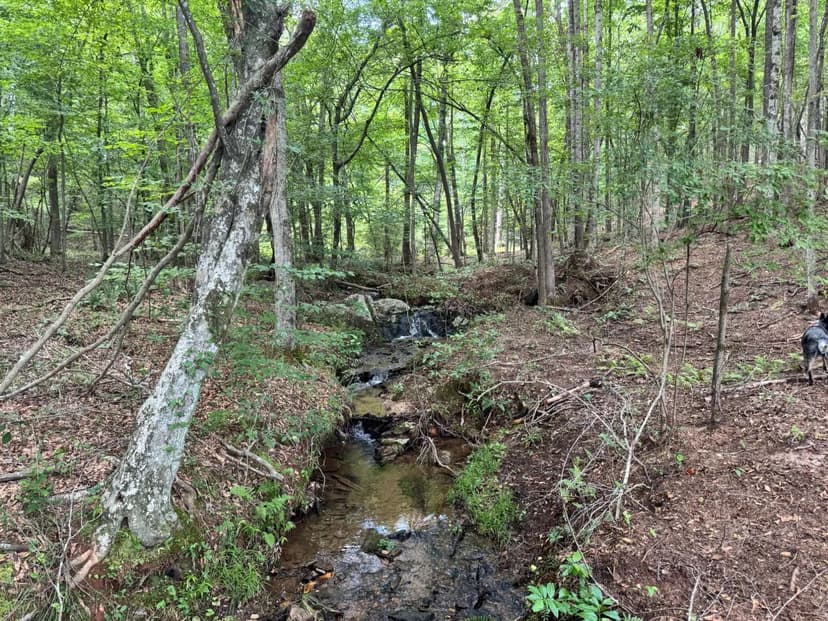 Great land opportunity in Heard County