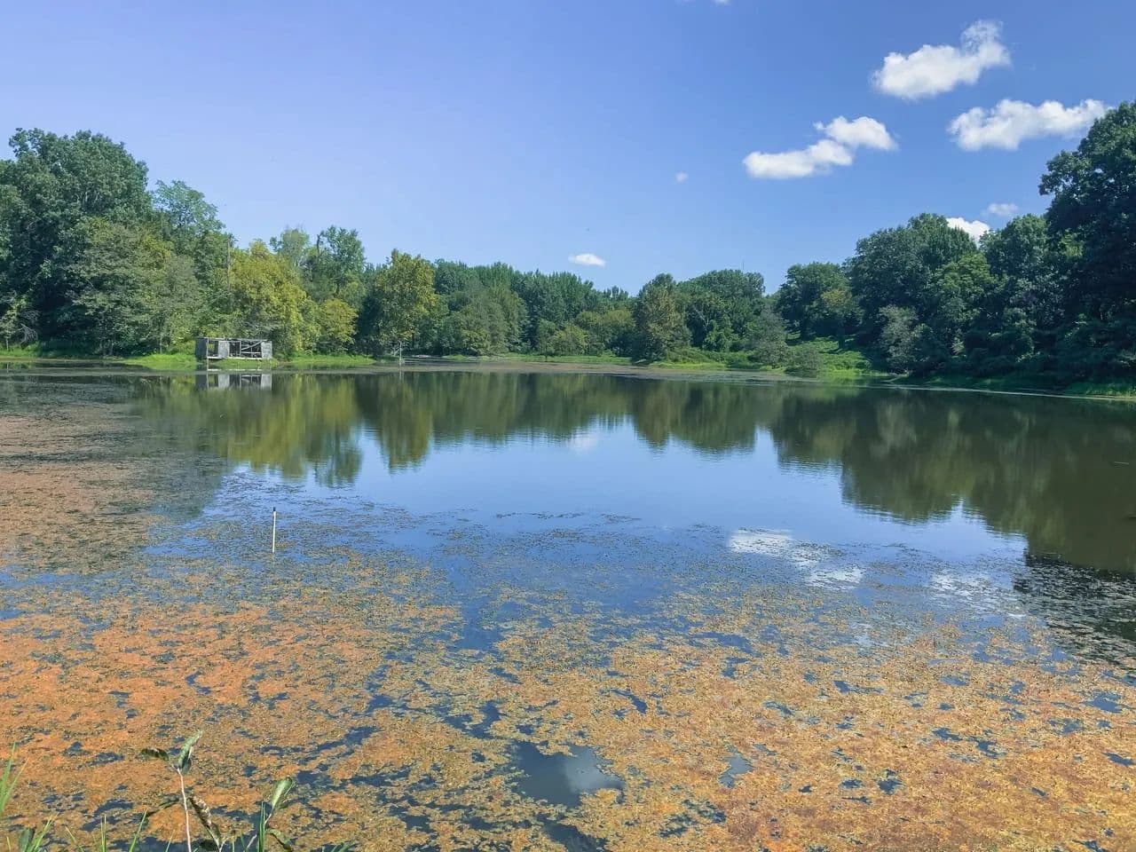186.3 Acre Hunting tract with Lake on the Mississippi Flyway in Obion County, TN - Elbridge, Tennessee, 38240