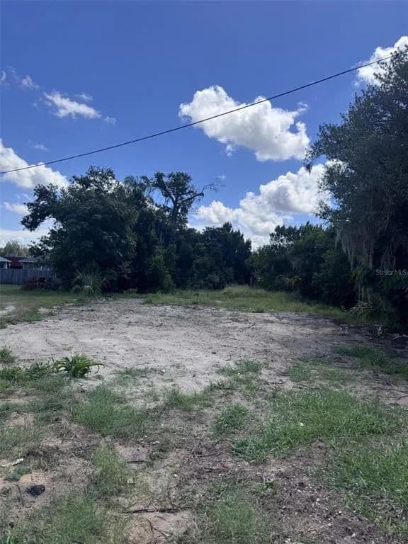 Vacant Land in Lake Wales - Lake Wales, Florida, 33853