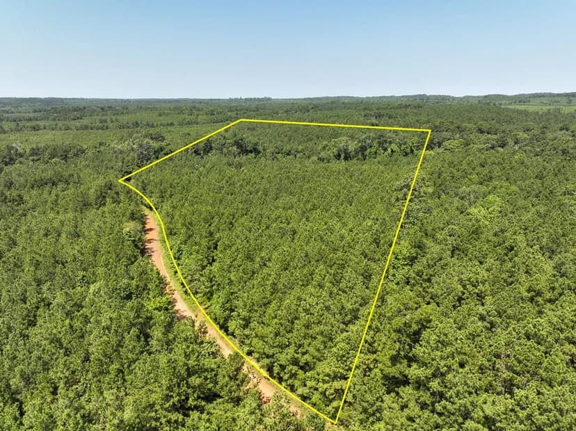 22 Acres | T-1 | Lick Skillet Road | 1011